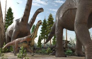 Dinozorların Yok Oluşu, Atalarımız için Uygun Ortam Yarattı