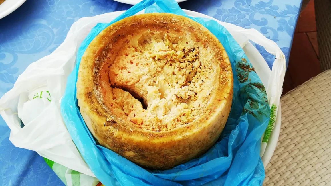 casu-marzu-peyniri-2_1.jpg