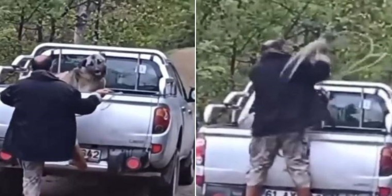 Köpeğe şiddet uygulayan kişi hakkında karar