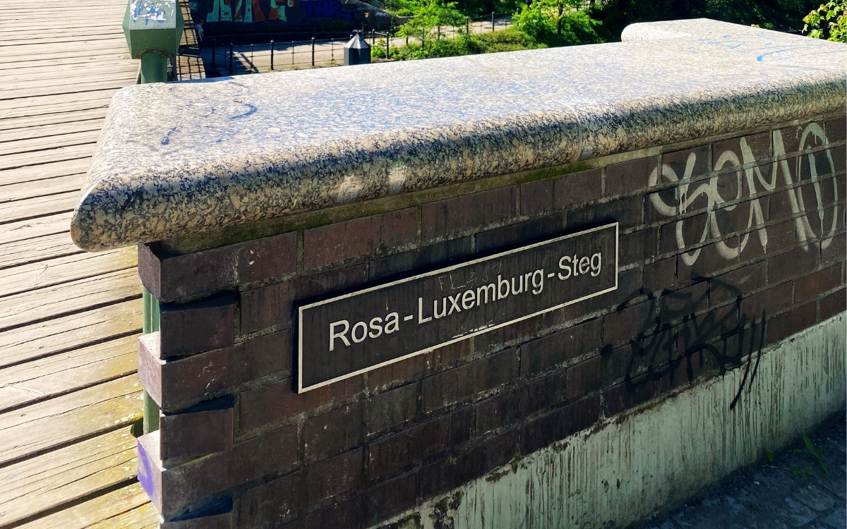 rosa-manset.jpg