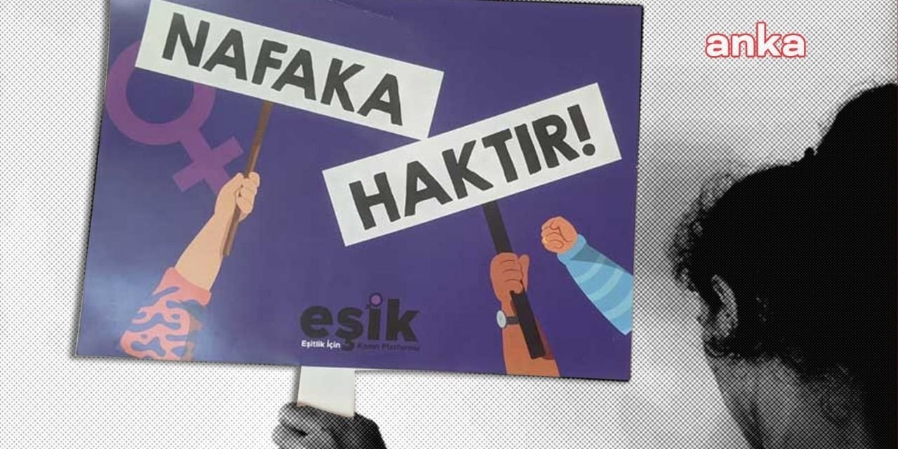 500 TL nafaka veren kocanın savunması: Vaktini hükümete hakaretle geçiriyor