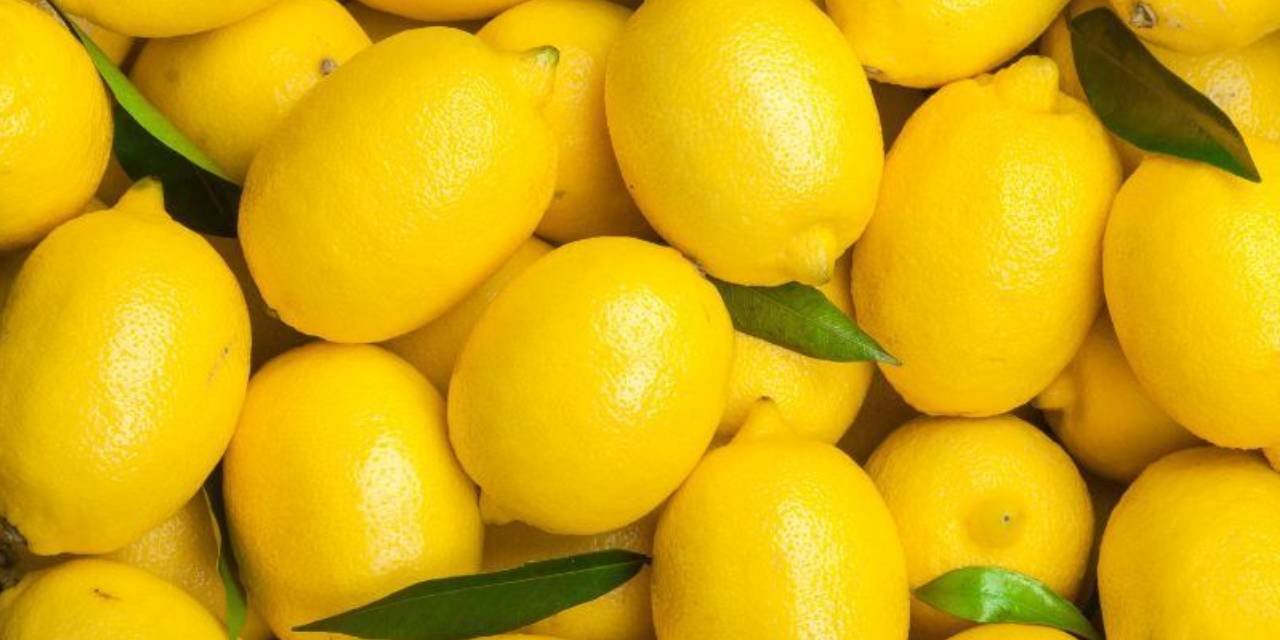 Dubai'ye gönderilecek limonlarda pestisit tespit edildi
