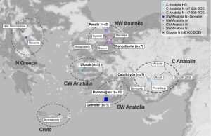 Batı Anadolu’daki Neolitikleşme Sürecinde Yereller de Rol Oynadı