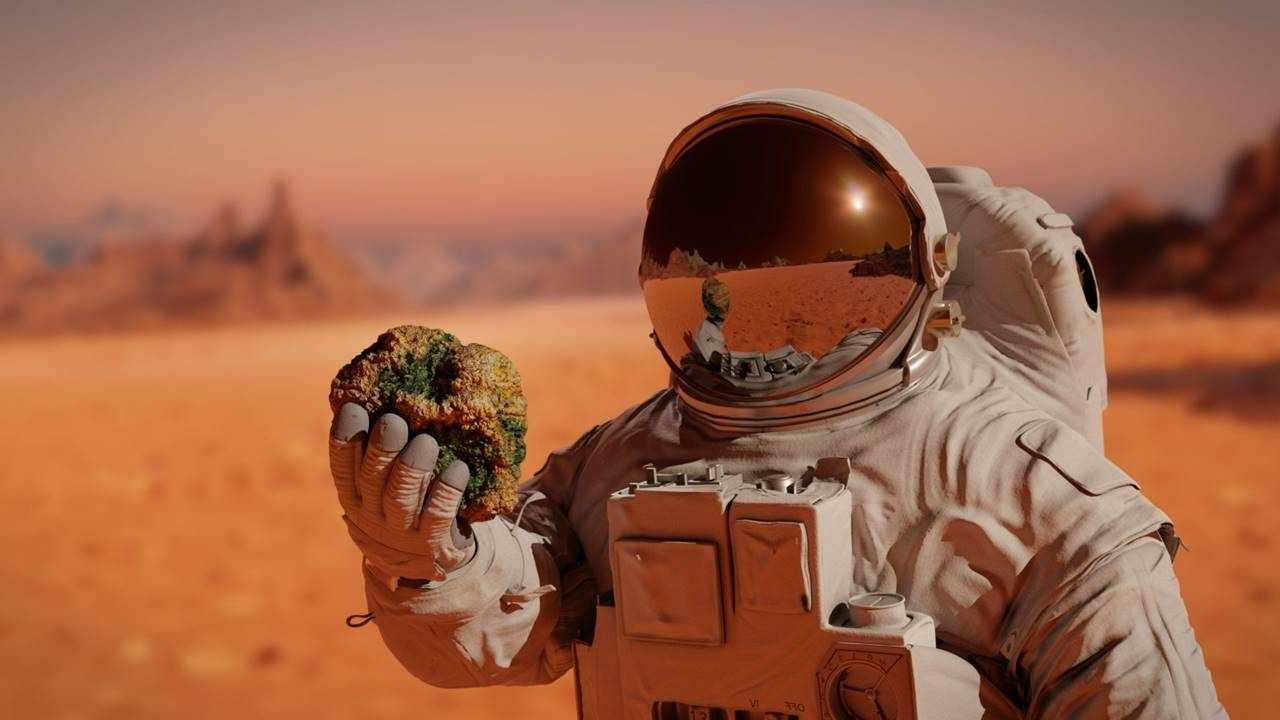 Mars Yasam Yeni Testler