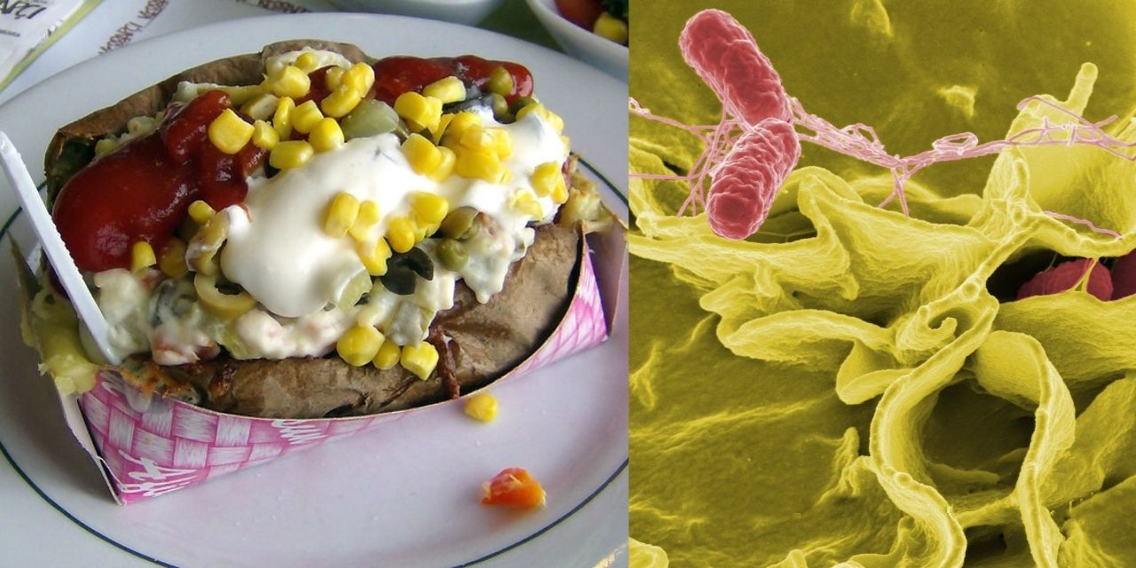 Kumpir ölüme götürdü... Nedeni salmonella mı?